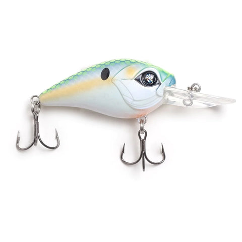 Lures – theshackpr